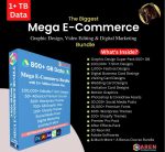 the biggest Mega E-commerce