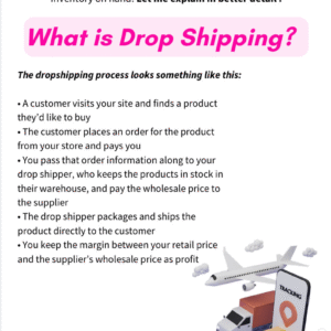 Dropshipping Business – PLR Guide
