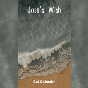 Josh's Wish with PLR & MRR Rights