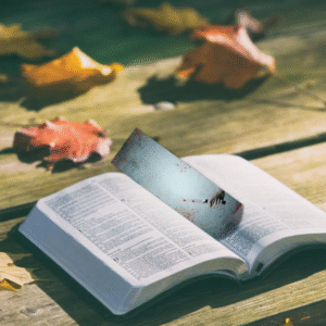 Thriller Bookmark Bundle with PLR & MRR Rights