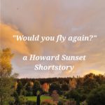 Would you fly again? with PLR & MRR Rights